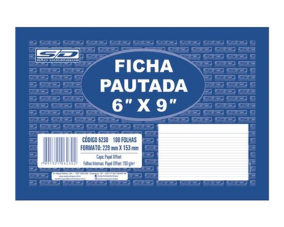 FICHA PAUTADA 6X9 229X153MM PCT/100 1004